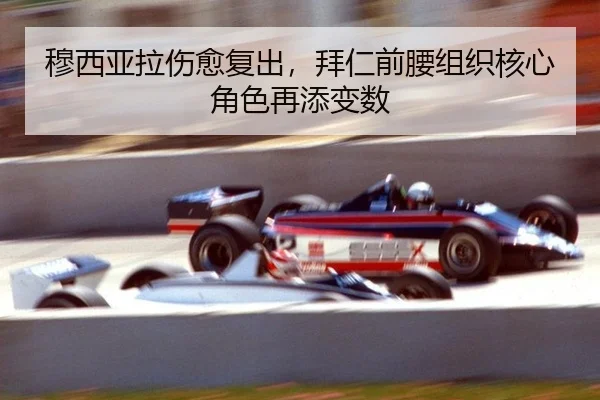 mu-xi-ya-la-shang-yu-fu-chu-bai-ren-qian-yao-zu-zhi-he-xin-jue-se-zai-tian-bian-shu-2-470.jpg