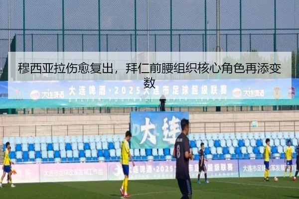 mu-xi-ya-la-shang-yu-fu-chu-bai-ren-qian-yao-zu-zhi-he-xin-jue-se-zai-tian-bian-shu-3-335.jpg